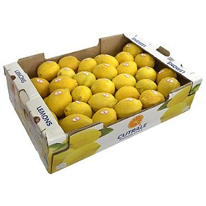 Limão Siciliano Nacional 10kg