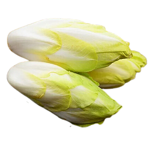 Endivia - 10 unidades