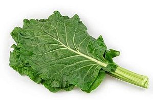 Couve Manteiga - 24 Unidades