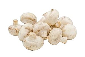 Cogumelo Sujo - Bandeja com 500g