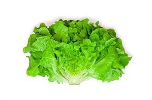 Alface Mimosa - 24 unidades