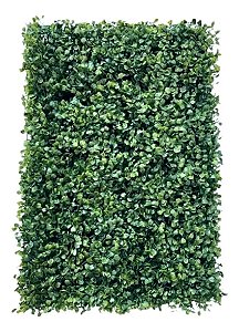 Grama Artificial Buxinho Buchinho Muro Inglês Placa 40x60