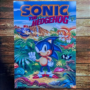 Poster Sonic 3 do Mega Drive