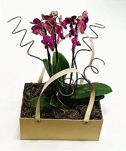 Orquídea Presente na Bag Personalizada