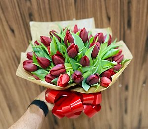 Tulipa Cores