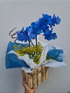 Orquídea Azul no Cachepot de Madeira