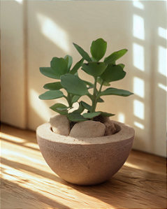 Vasinho de Concreto - Pequeno