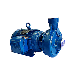 BOMBA CENTRIFUGA RUDC MOD. RLG-8 DE 5CV TRIFASICO 220/380/440V IP55 IR3 WEG