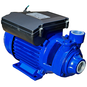 Bomba KSB Hydrobloc mod. P1000 1Cv Monofásico 127/220V