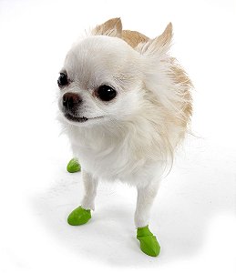 Pawz Verde Claro - Botas para Cães - Tamanho Tiny (mini)