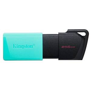 Pen Drive 256 Gb Kingston Dtxm/256Gb Exodia M, Usb 3.2, Preto