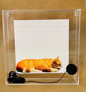 Quadro em Acrílico com azulejo Gato Novelo lã