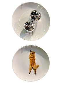Conjunto de 2 pratos 27cm - Golden Retriever