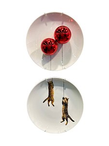 Conjunto de 2 pratos 27cm - Gatos