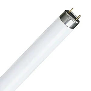 Lâmpada 40w Fluorescente Tubular 120Cm Luz Dia