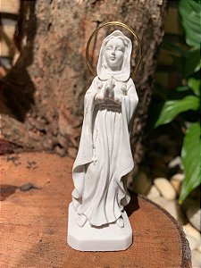 Imagem Nossa Senhora Rosa Mística 8cm Branca (8607)