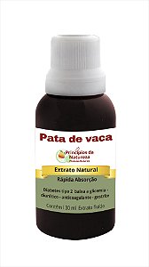 Diabetes - Pata de vaca