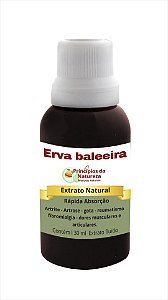 Erva baleeira (ARTRITE)