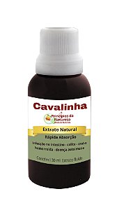 Cavalinha