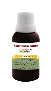 Espinheira Santa