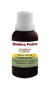 Quebra pedra - Doenças nos Rins
