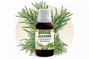 Extrato de alecrim – Princípios da Natureza | Uso Oral | Conta-Gotas | 100% Natural | 30 ML