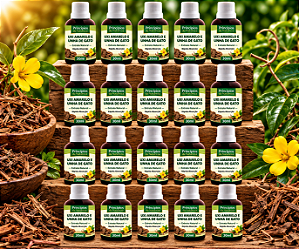 Kit 20 Extratos de Uxi amarelo e Unha de Gato- Princípios da Natureza | Uso Oral | Conta-Gotas | 100% Natural | 30 ML