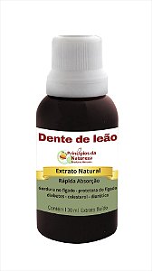 Dente de Leão