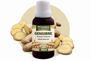 Extrato de Gengibre – Princípios da Natureza | Uso Oral | Conta-Gotas | 100% Natural | 30 ML