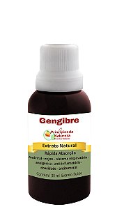 Gengibre