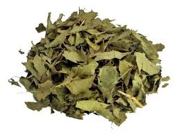 Espinheira Santa Verdadeira (Maytenus ilicifolia) 20g