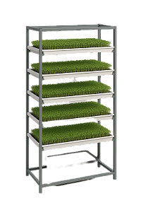 Broto Vertical - Sistema Hidropônico Vertical