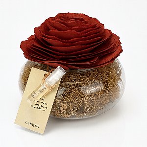 Rosa de Madeira Le Jardin Sucré