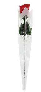 FLOR COM EMBALAGEM COM CORAÇÃO