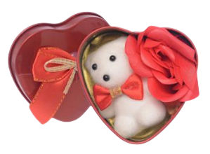 LATA COM ROSAS ARTIFICIAIS E URSO