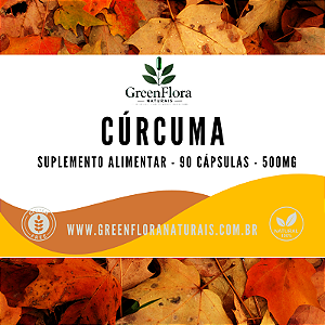 CURCUMA 500MG 90 CAPSULAS