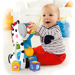 Brinquedo Zebra com Blocos - Fisher Price