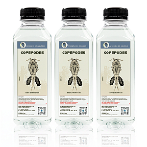 3x Copépodes Tisbe Vivos