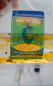 Amphipodes Vivos