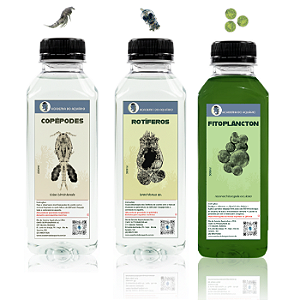 Rotíferos + Copépodes + Fitoplâncton