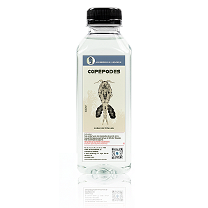 Copépodes Tisbe Vivos