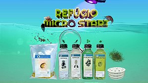 REFUGIO START