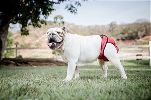 Calcinha Higiênica Protetora de Cio para Cães