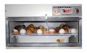 Chocadeira Pantanal SEMI-AUTOMATICA 100 ovos de galinhas, 100% Digital, Ventilação Forçada