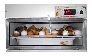Chocadeira Pantanal Bivolt 120 Ovos de galinha, viragem automatica, 100% digital, ventilação forçada
