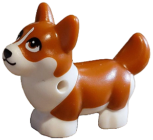 Cachorro Raça Corgi Branco e Dark Orange