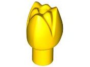 Flor de Tulipa com uma Barra Amarela