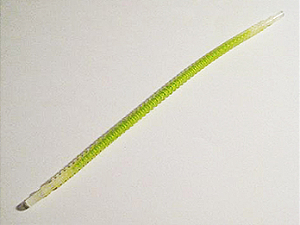 Mangueira Nervurada Flexível com Extremidades de 8mm, 19L com Centro em Verde Limão