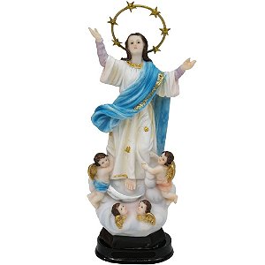 Nossa Senhora Da Assunção 20 CM