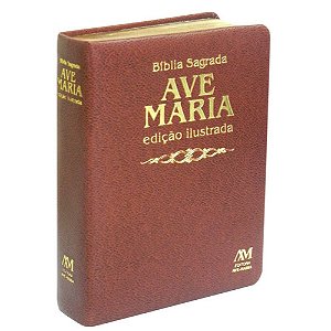 Bíblia Edição Ilustrada Luxo - Média - Marrom